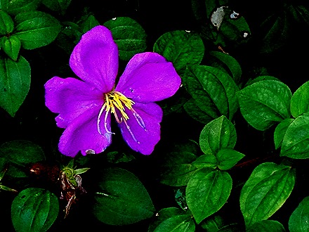 38. Singapore (Day 2)