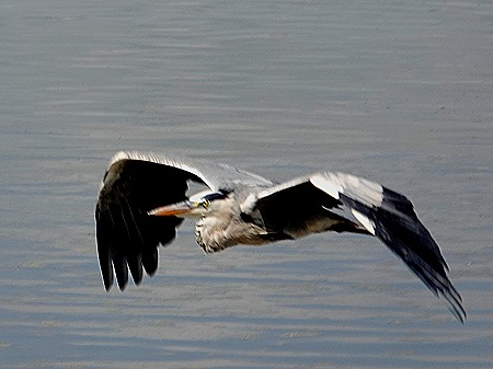 381. Kruger Nat Park, South Africa