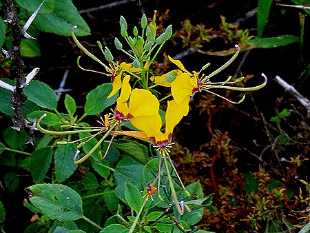 407. Kruger Nat Park, South Africa