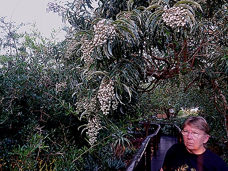 41. Kruger Nat Park, South Africa