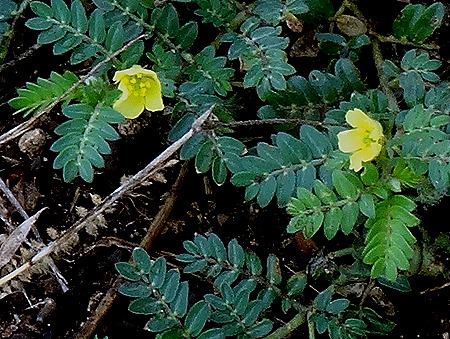 414. Kruger Nat Park, South Africa