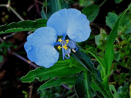 416. Kruger Nat Park, South Africa
