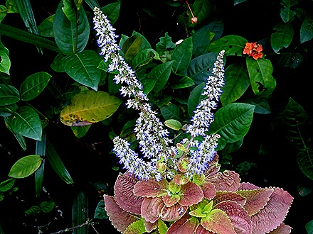 44. Singapore (Day 2)