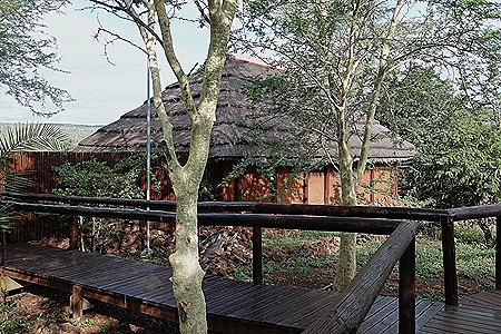 461. Kruger Nat Park, South Africa