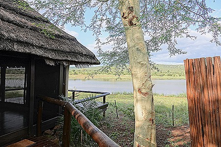 464. Kruger Nat Park, South Africa