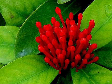 47. Singapore (Day 2)