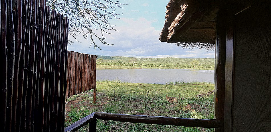 473a. Kruger Nat Park, South Africa_stitch