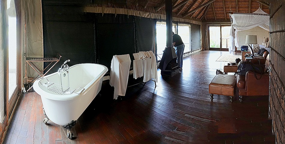 476a. Kruger Nat Park, South Africa_stitch