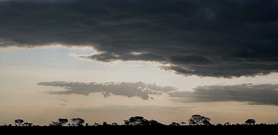 489a. Kruger Nat Park, South Africa_stitch