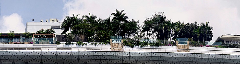 49a. Singapore (Day 2)_stitch