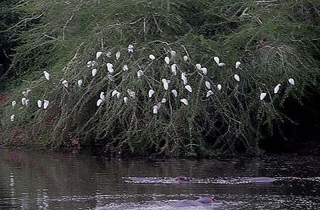5. Kruger Nat Park, South Africa