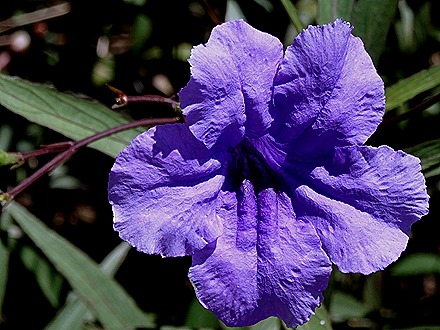 52. Victoria, Mahe, Seychelles