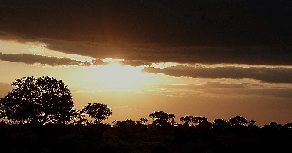 534. Kruger Nat Park, South Africa