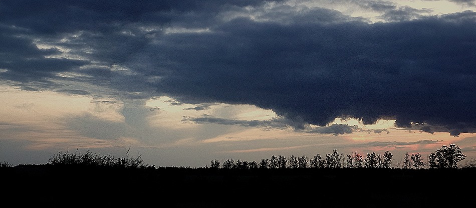 548b. Kruger Nat Park, South Africa_stitch