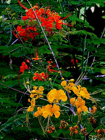 55. Singapore (Day 2)