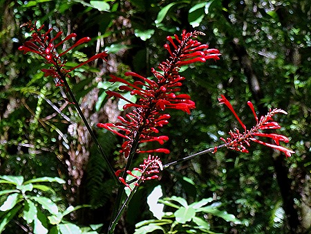 56. La Possession, Reunion Island