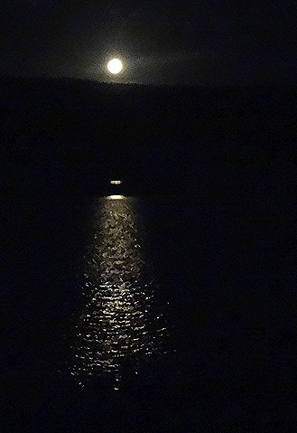 594. Kruger Nat Park, South Africa