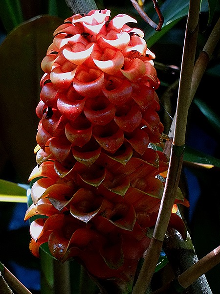 60. La Possession, Reunion Island