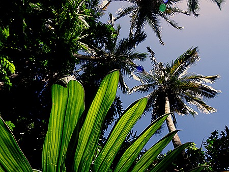 62. La Possession, Reunion Island