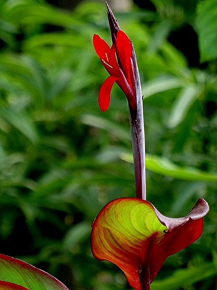 63. Singapore (Day 2)