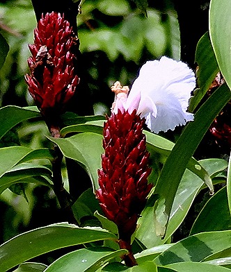 65. Singapore (Day 2)