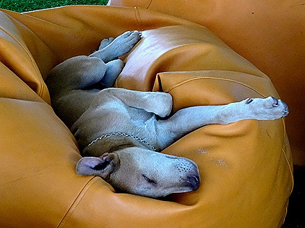 66. Phuket, Thailand