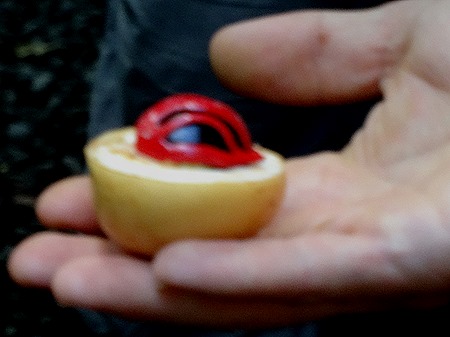 69. La Possession, Reunion Island