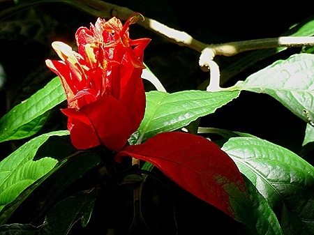 73. La Possession, Reunion Island