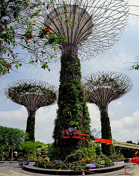 73a. Singapore (Day 2)_stitch