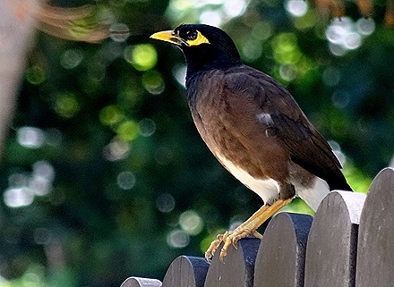 76. Victoria, Mahe, Seychelles