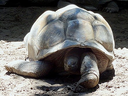 79. Victoria, Mahe, Seychelles