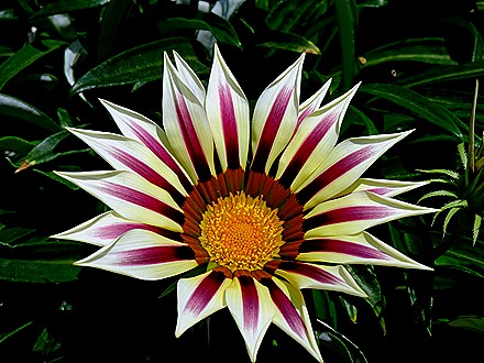 82. Singapore (Day 2)