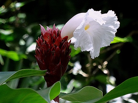 89. La Possession, Reunion Island