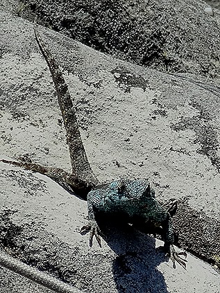 90. Capetown, South Africa