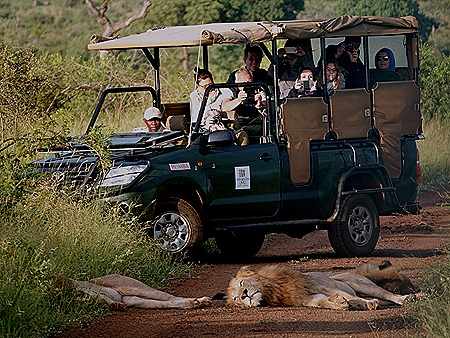 92. Kruger Nat Park, South Africa