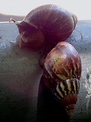 99. Victoria, Mahe, Seychelles