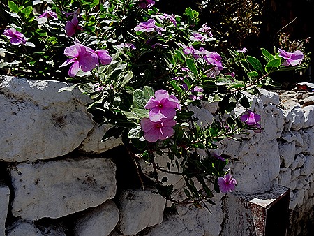 110. Praia, Cabo Verde