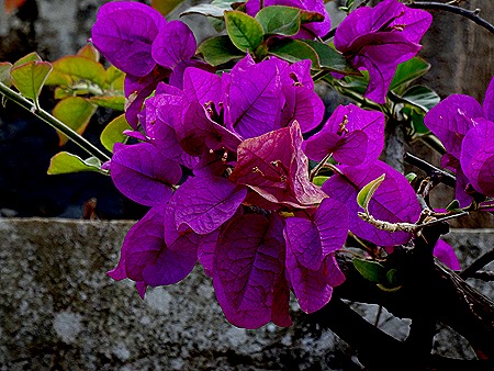 150. Praia, Cabo Verde