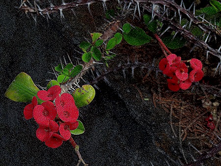 152. Praia, Cabo Verde