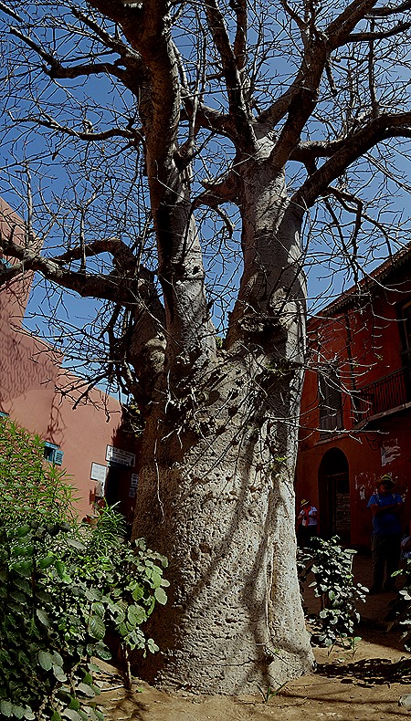 43a. Dakar, Senegal_stitch