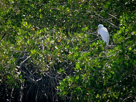 54. Banjul, The Gambia