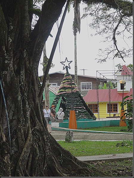 Christmas Tree in park, Bocas Del Toro