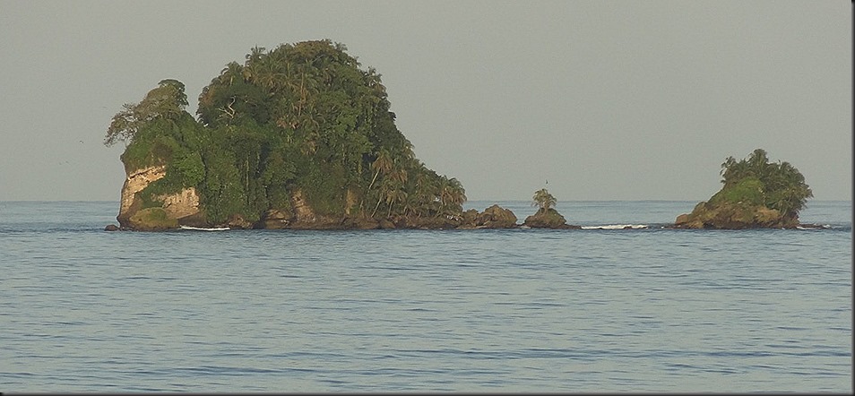 Lionturtle, near Bocas Del Toro