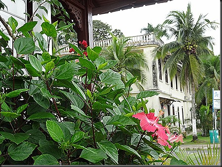 Town Hall, Bocas Del Toro