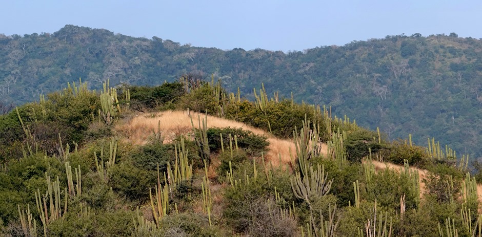 11a. Santa Marta, Colombia (RX10)_stitch