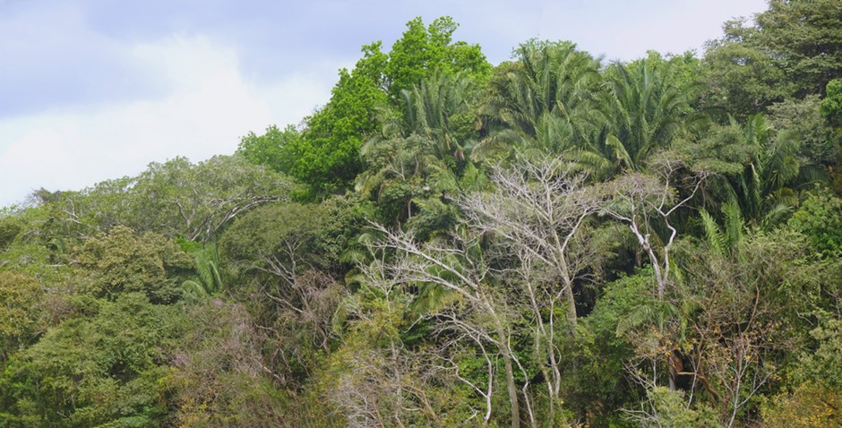 21a. Panama Canal_stitch