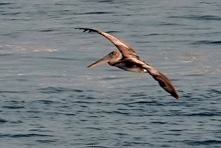 29. Santa Marta, Colombia (RX10)