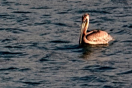 32b. Santa Marta, Colombia (RX10)