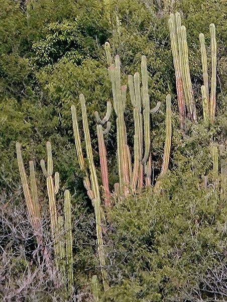 9. Santa Marta, Colombia (RX10)