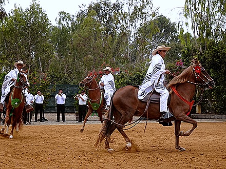100. Lima, Peru (Day 2)